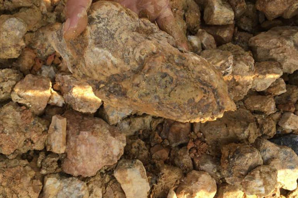 Mine d'or alluvionnaire,placer