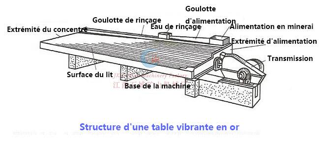 Structure d'une table vibrante en or