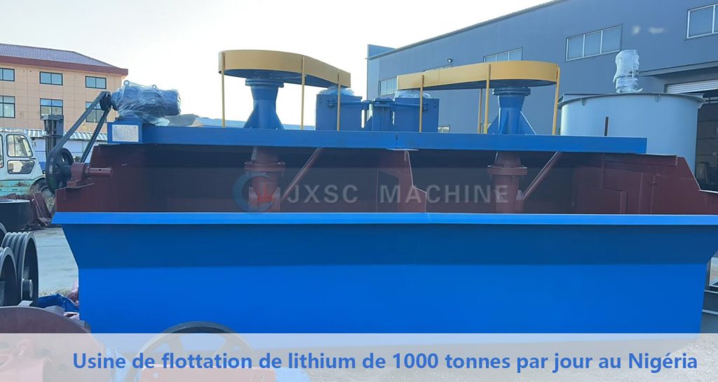 Usine de traitement par flottation du lithium de 1000TPD